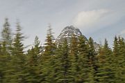 11 - Banff to Icefields - IMG_0920